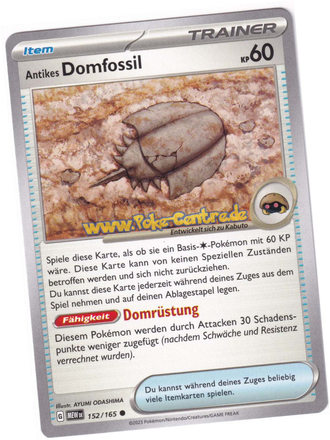 Antikes Domfossil 152/165 Common - Karmesin & Purpur - 151 Deutsch