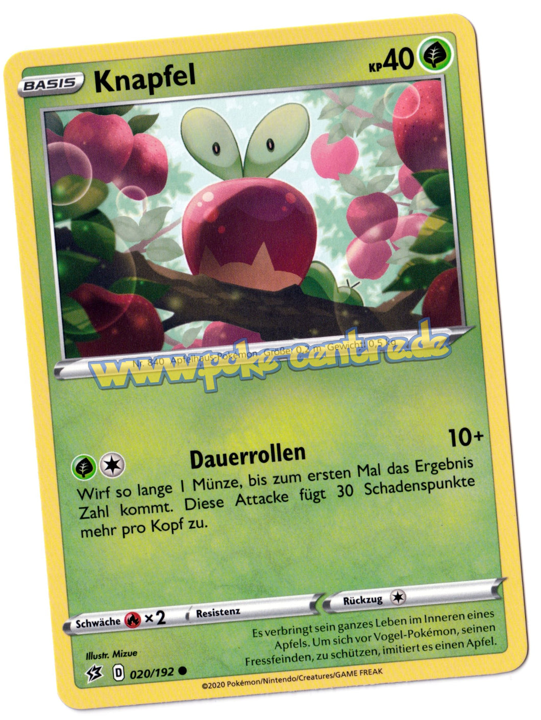 Pokemon Karten kaufen