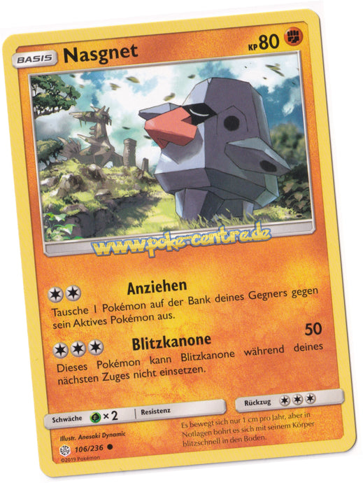 Pokemon Nasgnet
