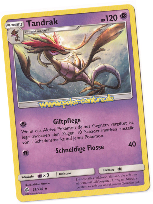 Pokemon Tandrak