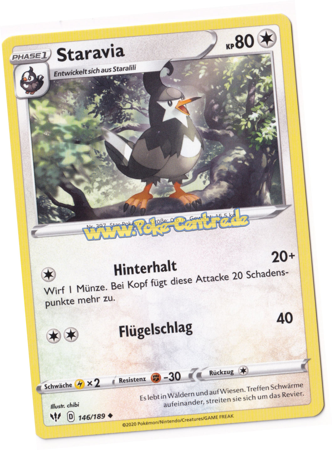Staravia 146/189 Uncommon - Flammende Finsternis Deutsch