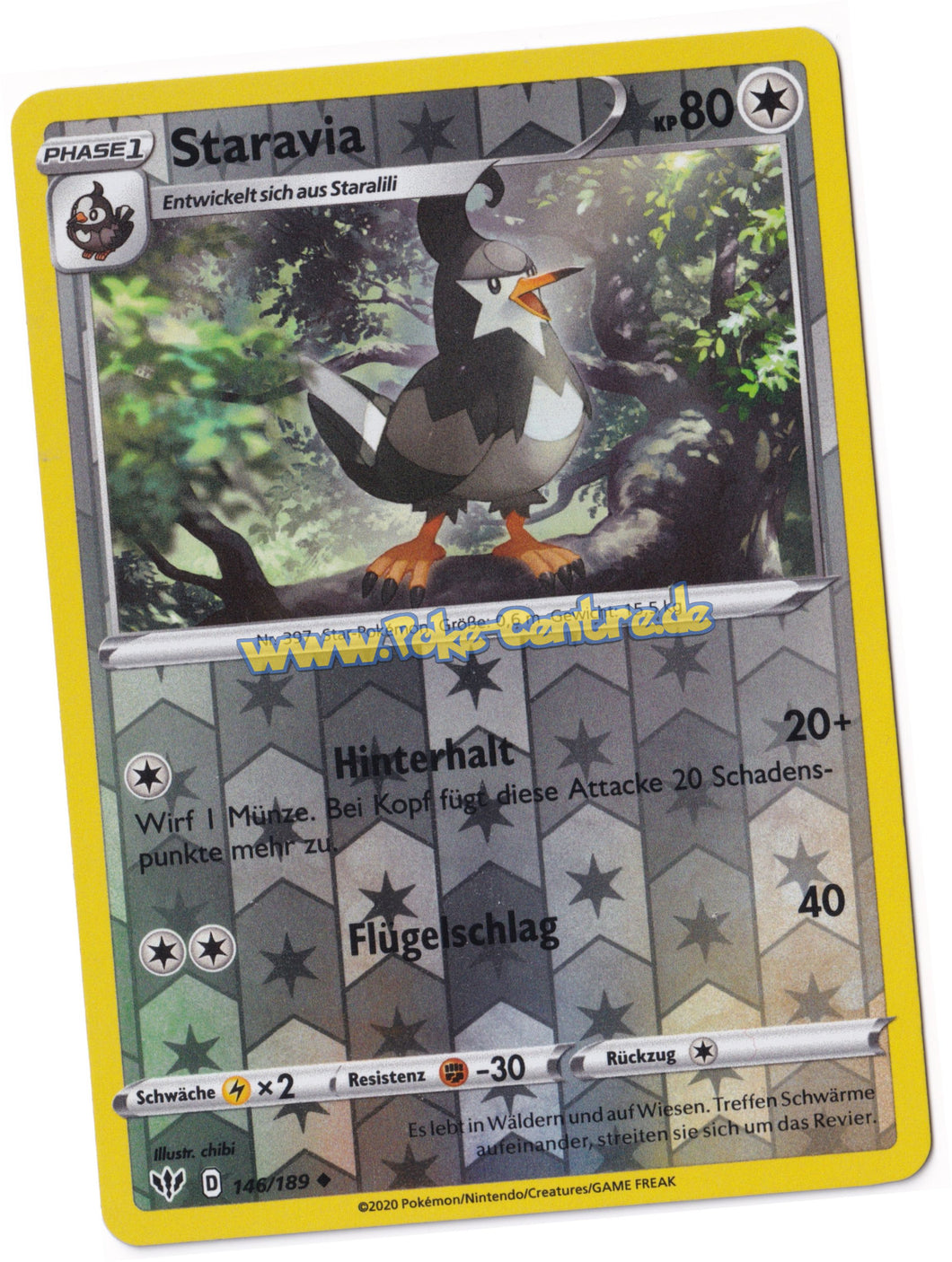 Staravia 146/189 Uncommon Reverse Holo - Flammende Finsternis Deutsch
