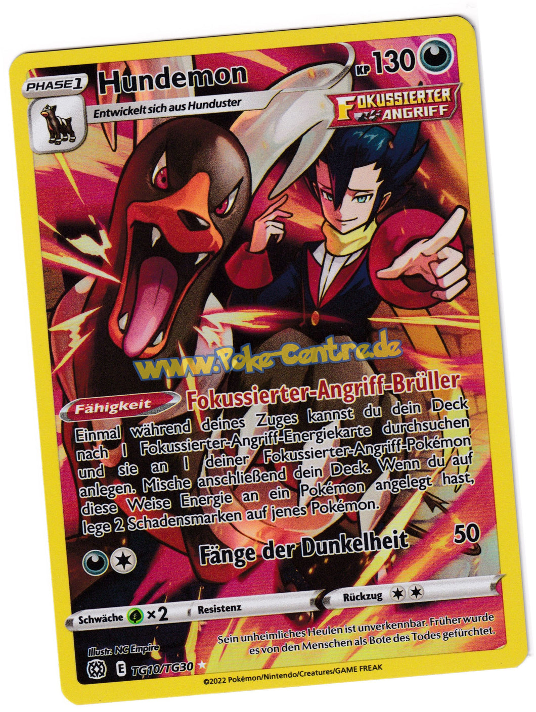 Hundemon Trainer Rare TG10/T30 Fullart