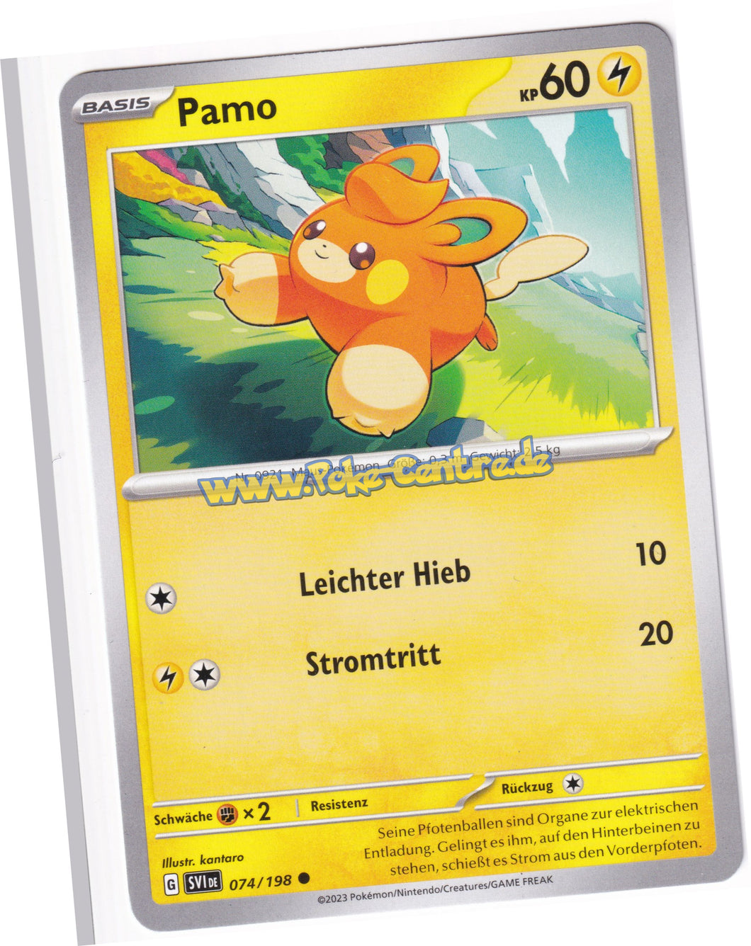 Pamo 074/198 Common - Karmesin & Purpur Deutsch