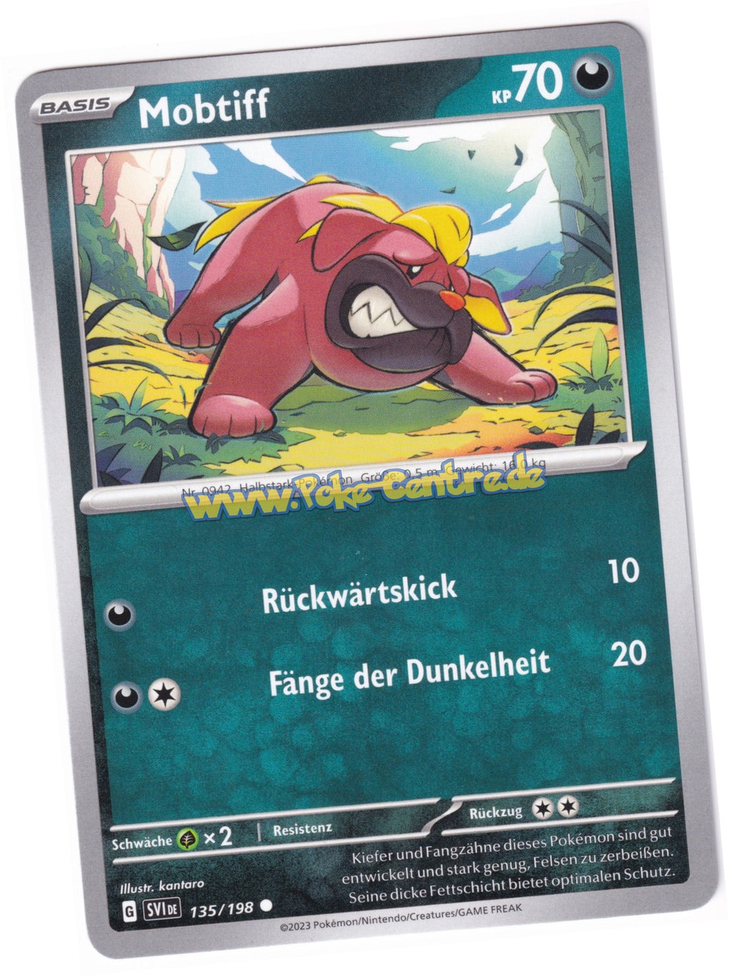Mobtiff 135/198 Common - Karmesin & Purpur Deutsch
