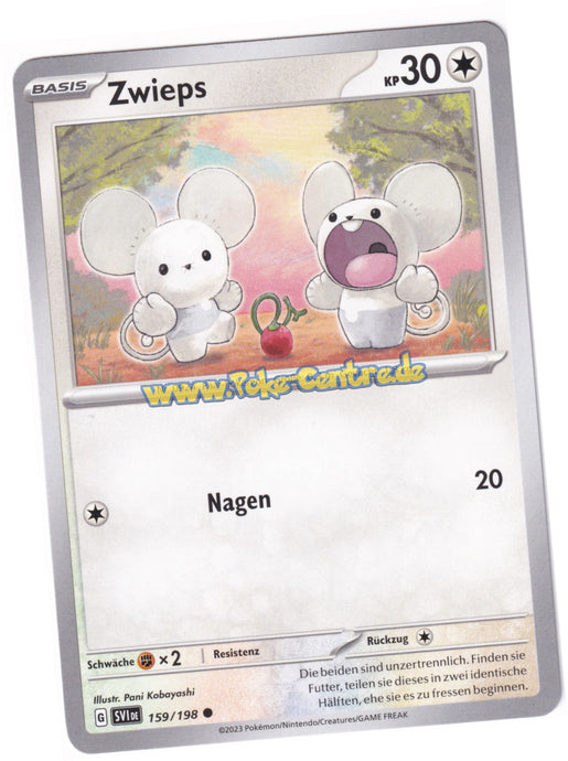 Zwieps 159/198 Common - Karmesin & Purpur Deutsch