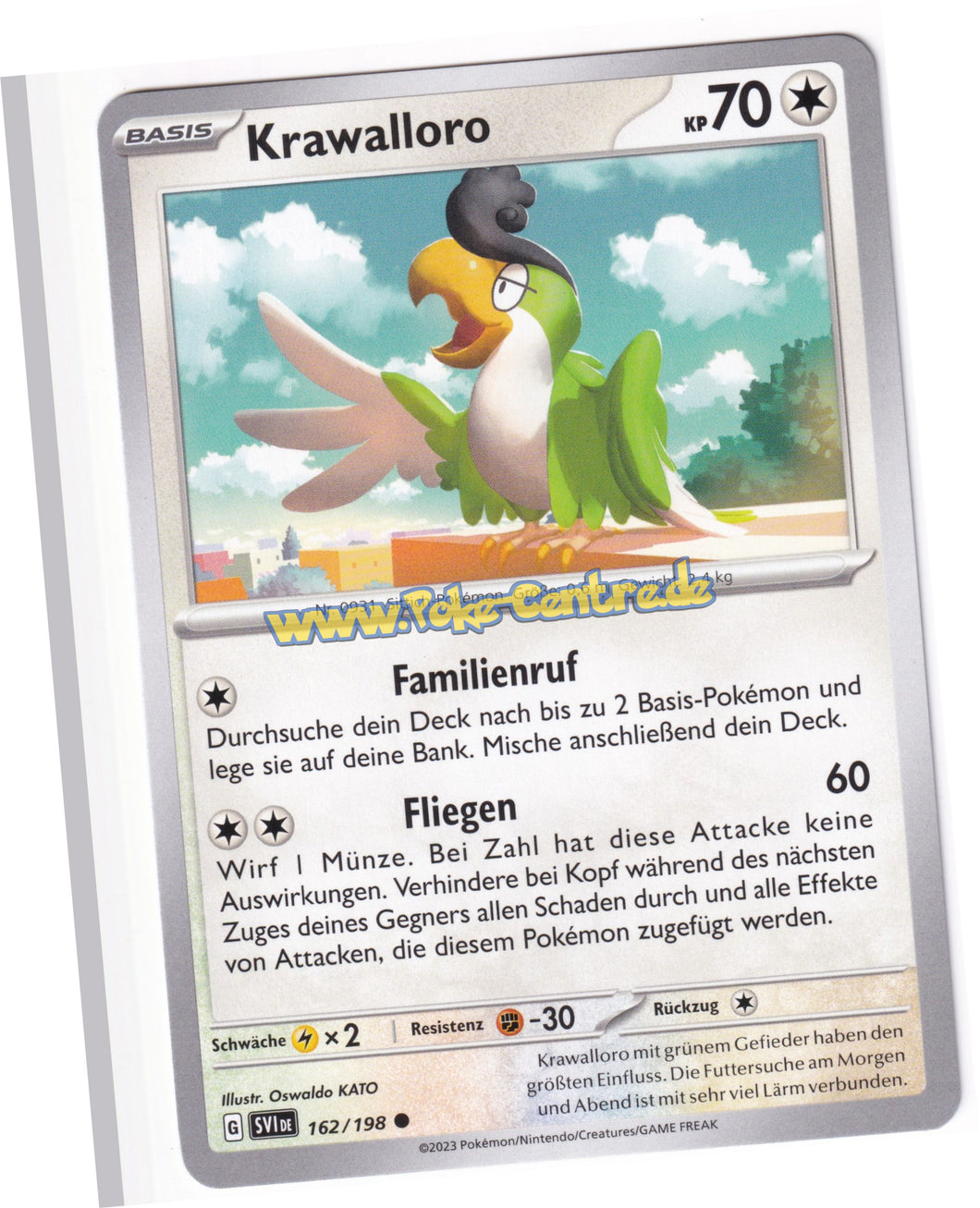 Krawalloro 162/198 Common - Karmesin & Purpur Deutsch
