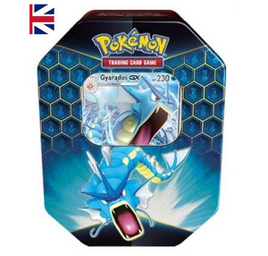 Verborgenes Schicksal Tin Box Garados