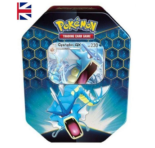 Verborgenes Schicksal Tin Box Garados