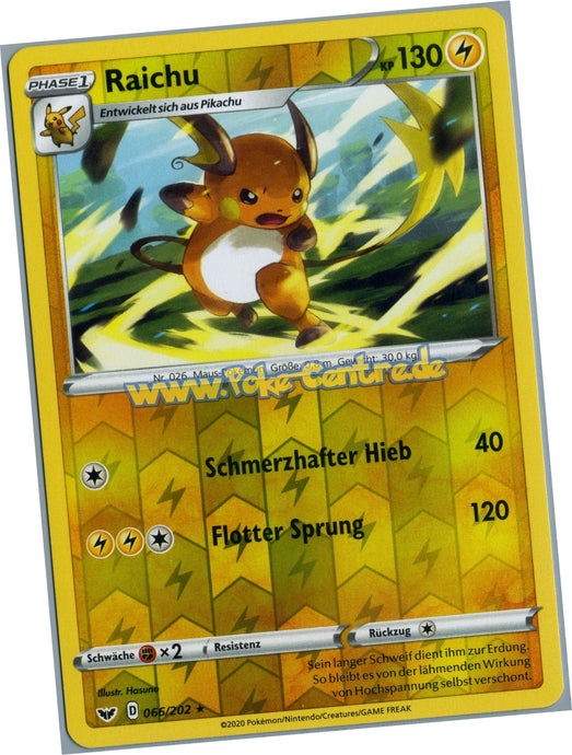 Pokemon Raichu